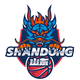山东高速后备队logo