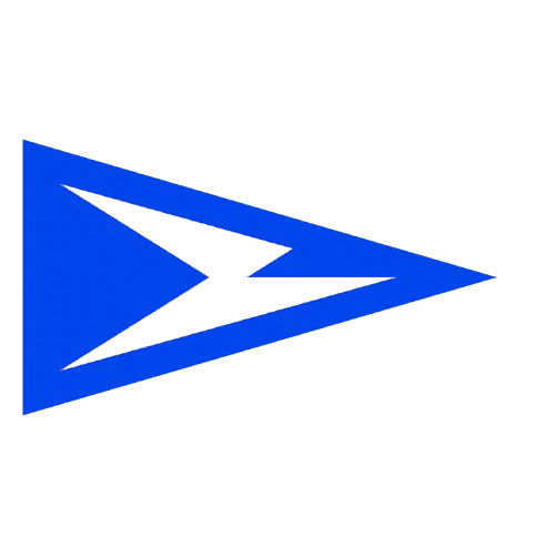 佩夏诺科普斯科耶海鸥logo