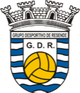 GD雷森迪logo