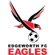 艾治禾夫鷹队logo